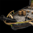 Fast Fire Ship